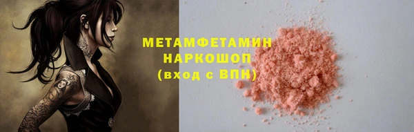 прущие грибы Саяногорск