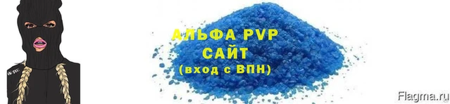 прущие грибы Саяногорск