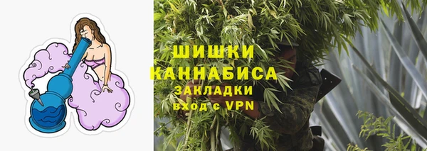 прущие грибы Саяногорск