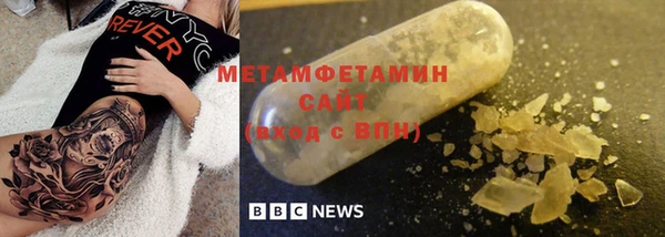 прущие грибы Саяногорск