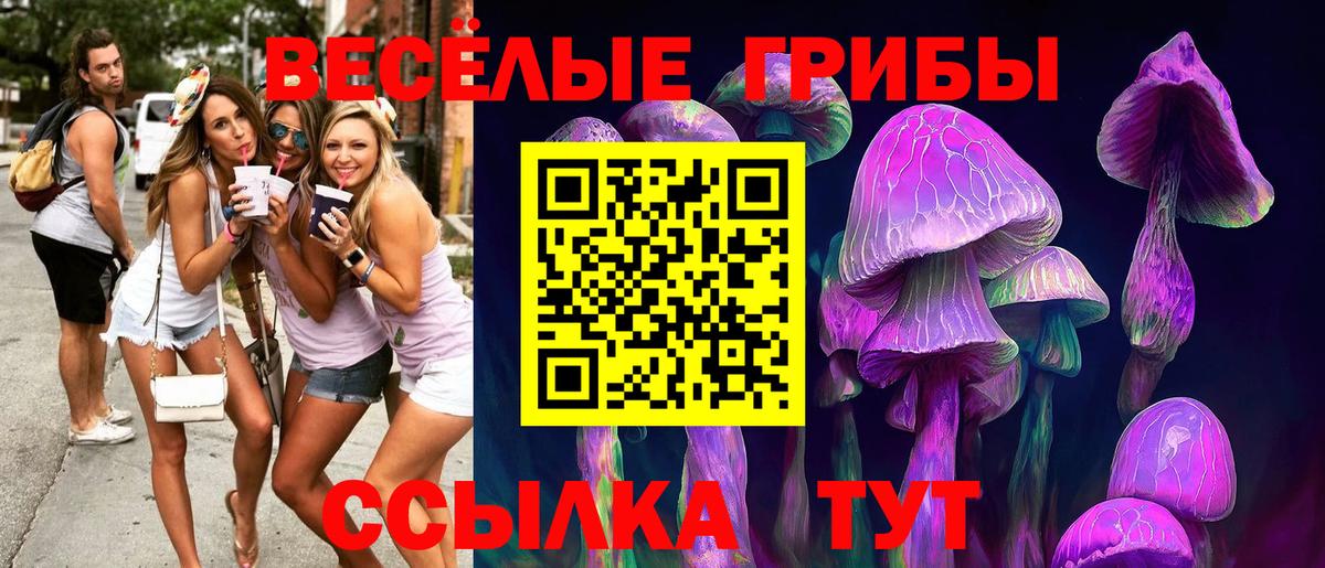 Псилоцибиновые грибы GOLDEN TEACHER Кириши